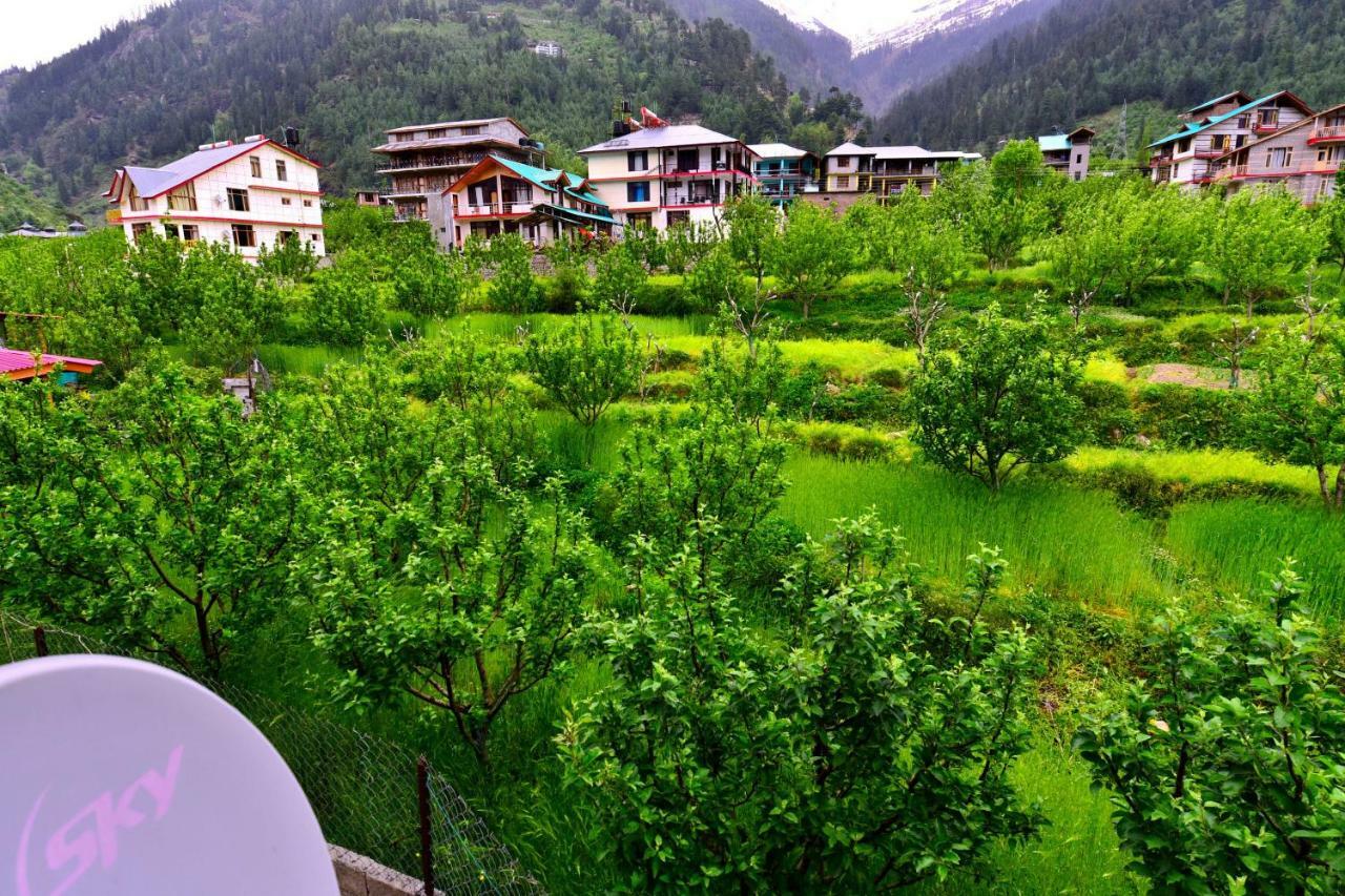 Oyo 38759 Tara Cottages Manāli Zewnętrze zdjęcie